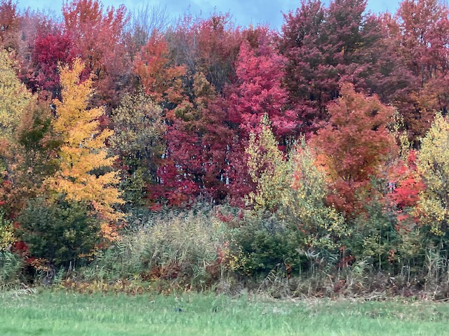 Thanksgiving in Canada