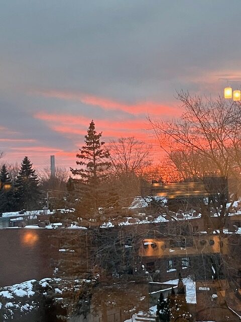 Winter Sunsets